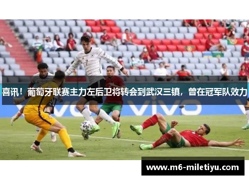 喜讯！葡萄牙联赛主力左后卫将转会到武汉三镇，曾在冠军队效力